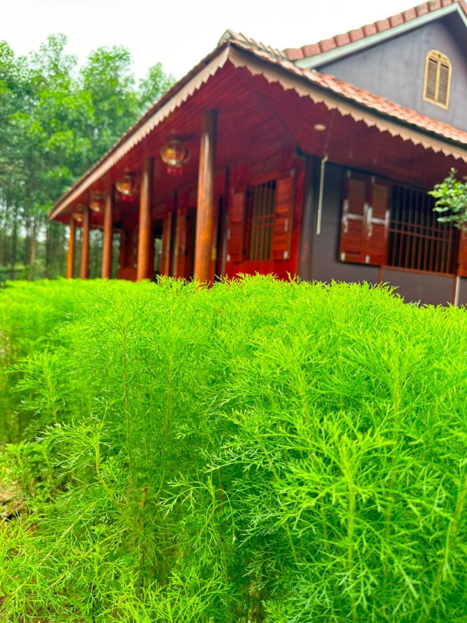 Phong Nha Eco Village Dış mekan fotoğraf